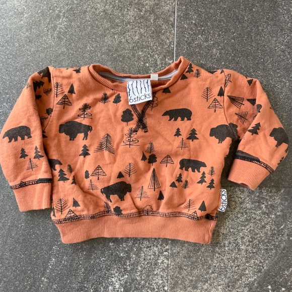 9-12 month bison and bear sweat suit - Picture 2 of 4